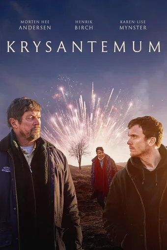 Krysantemum