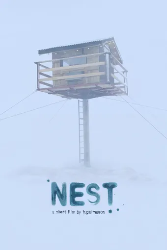 Nest